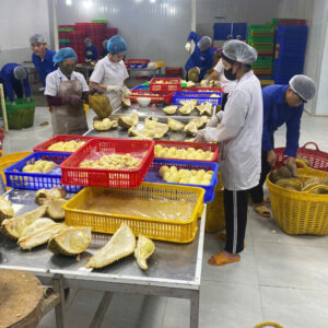 Kho lạnh bảo quản sầu riêng