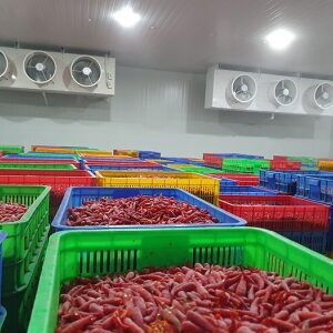 Kho lạnh bảo quản nông sản