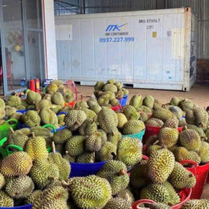 Container lạnh 20ft